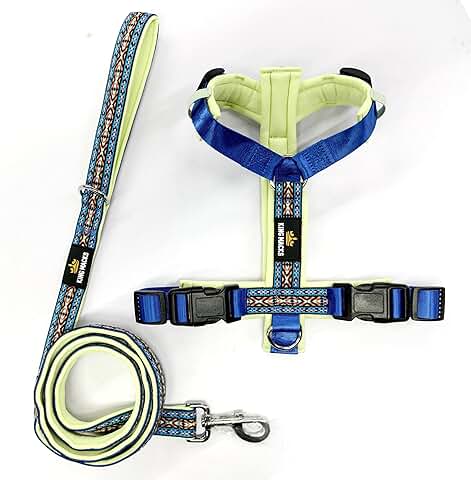 Adjustable No-Pull Dog Harness and Leash for Large Dogs
