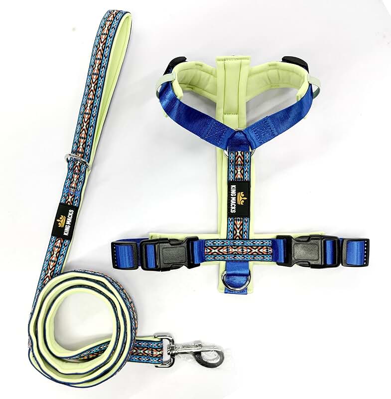 Adjustable No-Pull Dog Harness and Leash for Large Dogs