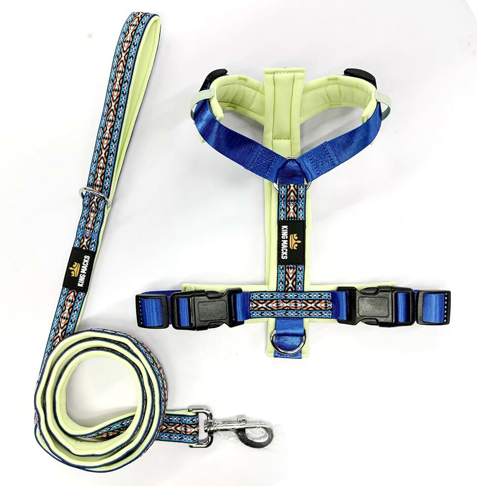Adjustable No-Pull Dog Harness and Leash for Large Dogs