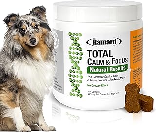 Natural Calming Dog Treats for Focus and Relaxation