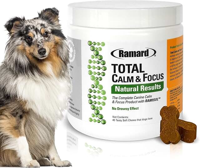 Natural Calming Dog Treats for Focus and Relaxation