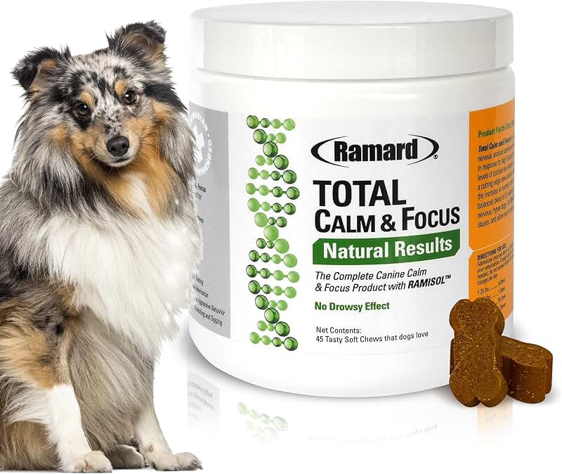 Natural Calming Dog Treats for Focus and Relaxation