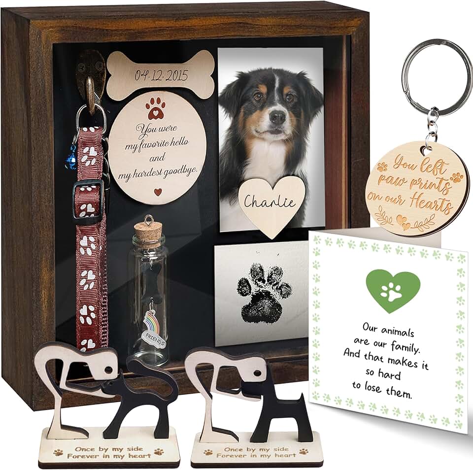 Pet Shadow Box Memorial Frame with Paw Prints