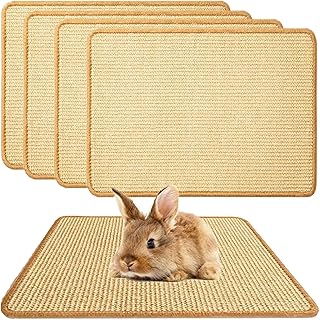 Rabbit Scratch Mat for Claws and Teeth Care