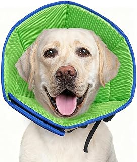 Large Soft Adjustable Dog Cone for Post-Surgery