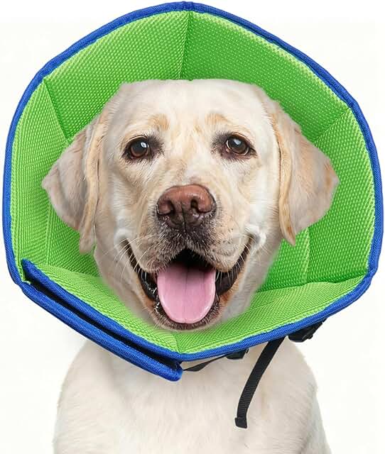 Large Soft Adjustable Dog Cone for Post-Surgery