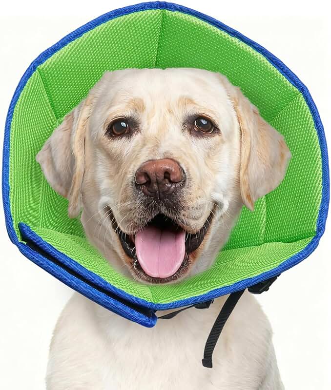 Large Soft Adjustable Dog Cone for Post-Surgery