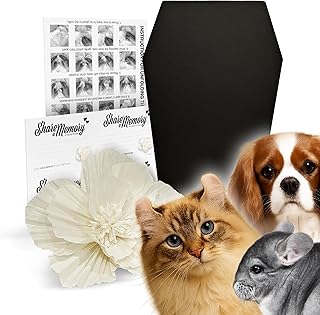 Pet Coffin for Dogs and Cats with Floral and Memory Cards