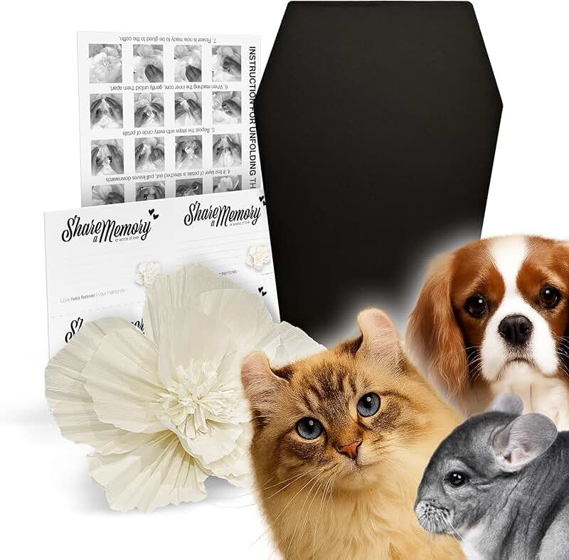 Pet Coffin for Dogs and Cats with Floral and Memory Cards