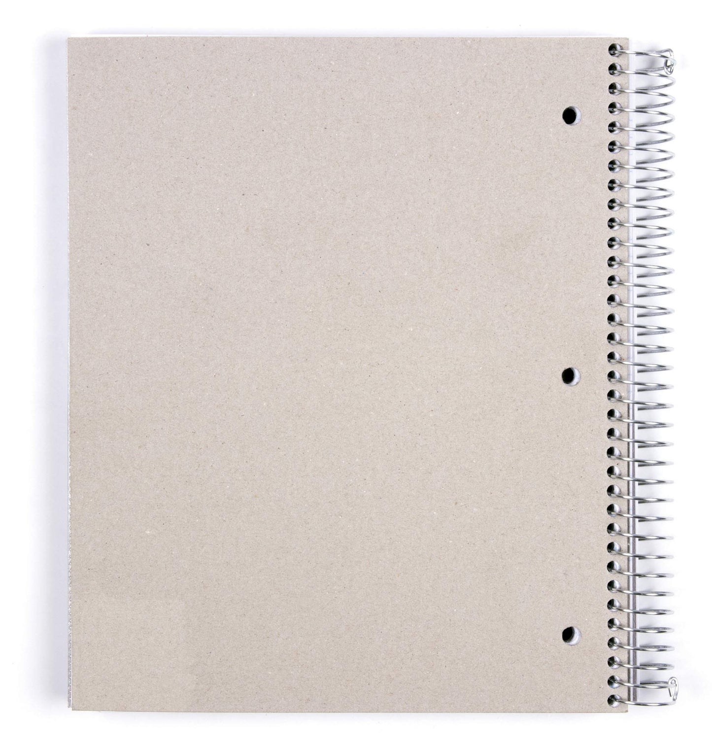 Durable 5-Subject Spiral Notebook, Blue