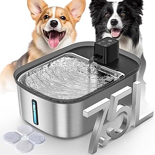 Wireless Water Fountain for Large Dogs and Pets