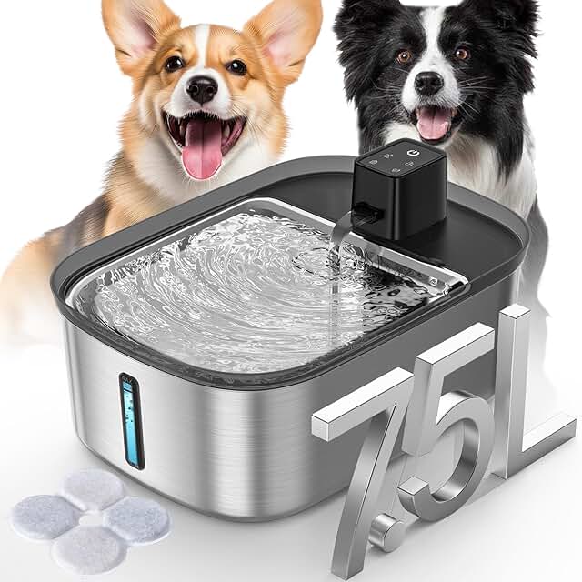 Wireless Water Fountain for Large Dogs and Pets