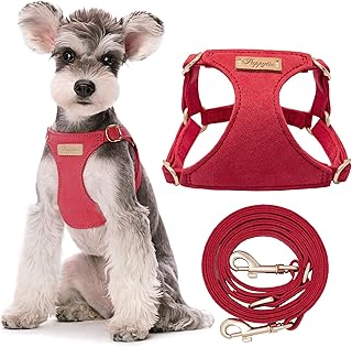 No Pull Small Dog Harness with Leash, Soft and Adjustable