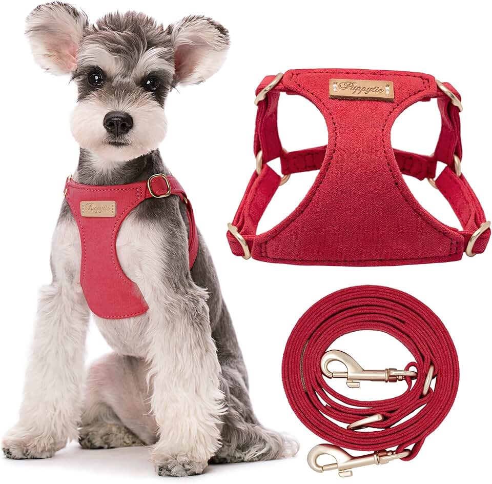 No Pull Small Dog Harness with Leash, Soft and Adjustable