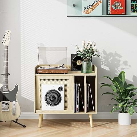 Vinyl Record Stand with Storage and Rattan Cabinet
