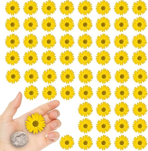 Yellow dried little daisy flowers for crafts, 60 pcs