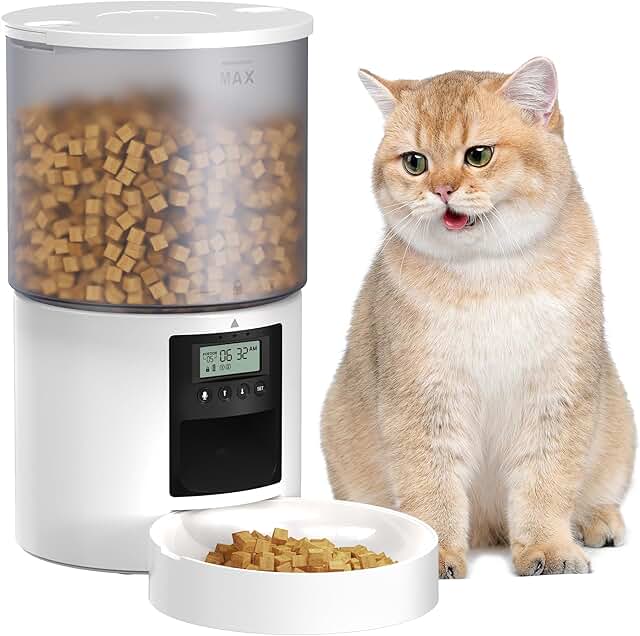 Automatic cat and dog food dispenser with timer