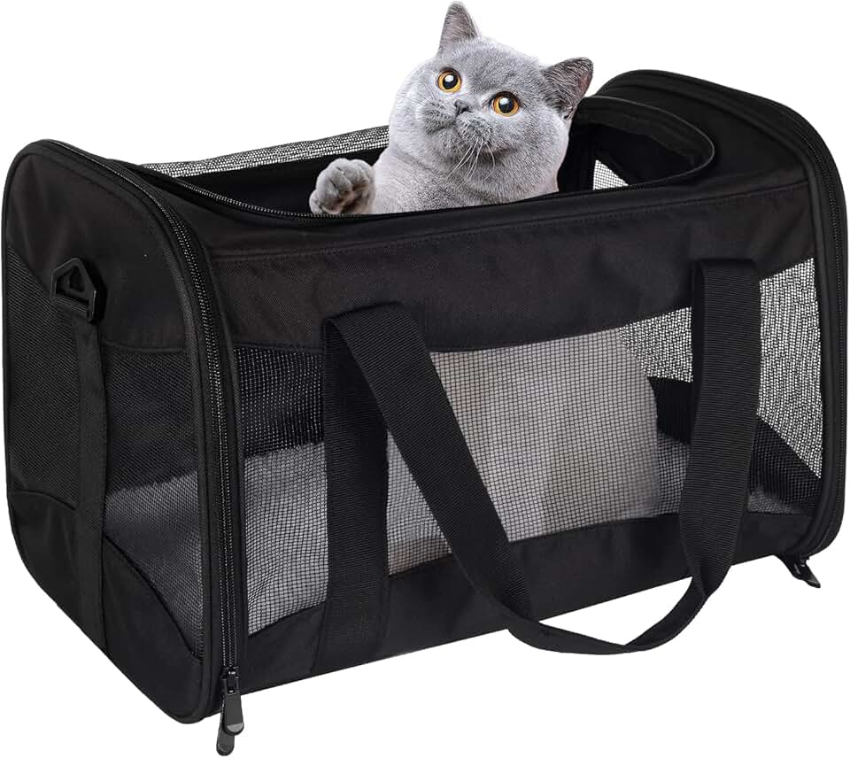 Portable Cat and Dog Travel Carrier with Fleece Pad