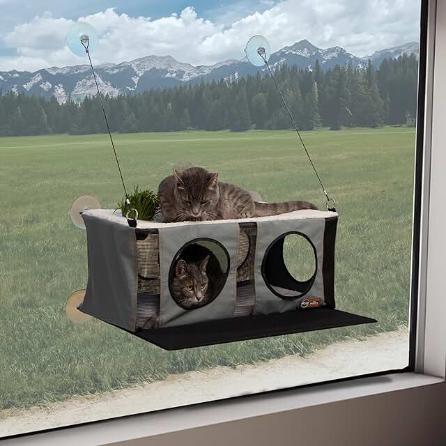 Two-Level Cat Window Perch with Grass Grow Station