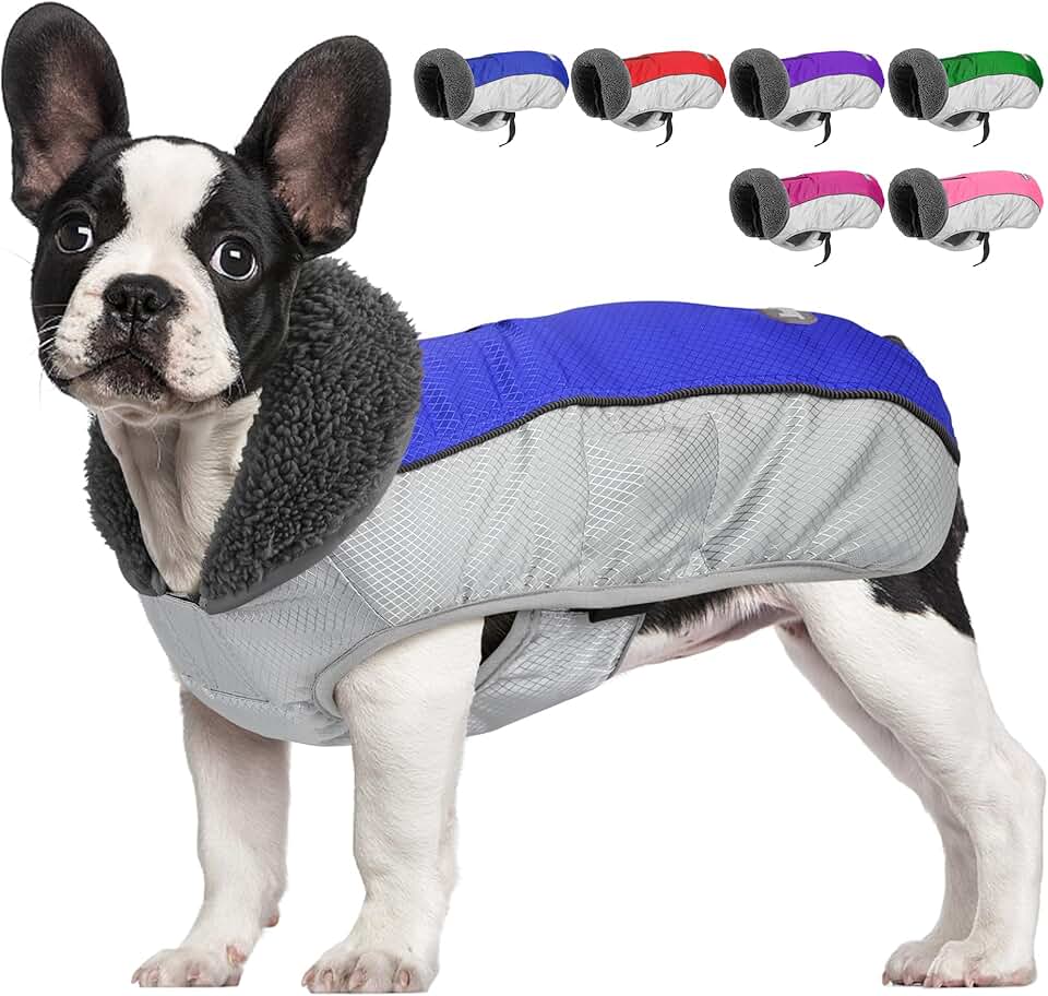 Waterproof Dog Winter Jacket with Leash Hole and Reflective Features