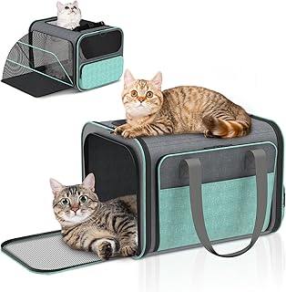 Airline Approved Soft Cat and Small Dog Carrier