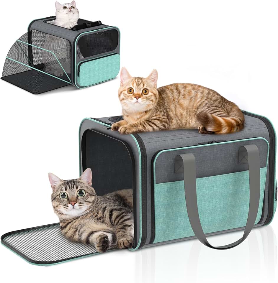 Airline Approved Soft Cat and Small Dog Carrier
