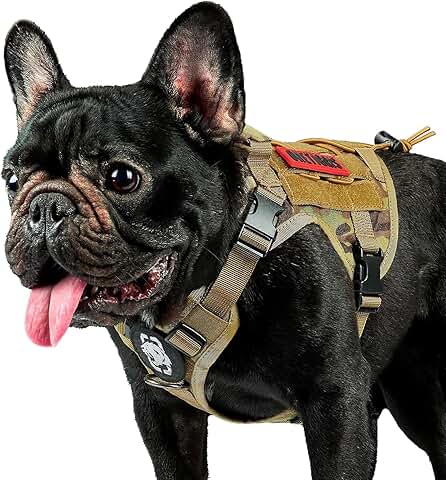 Adjustable Tactical Dog Harness for Walking and Training