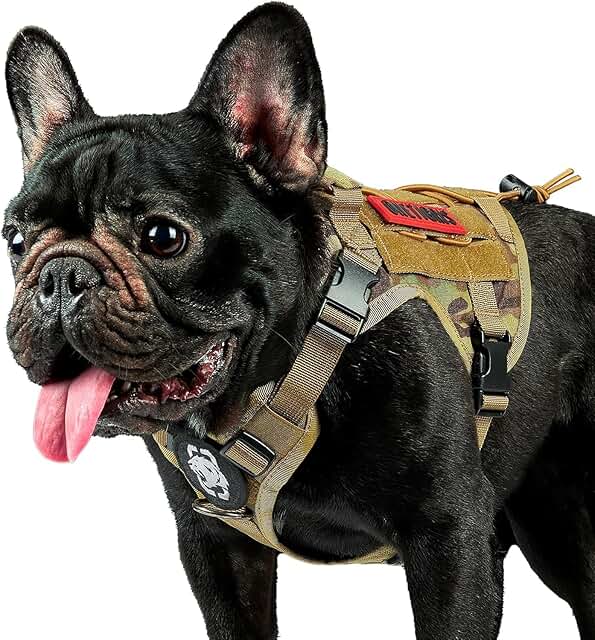 Adjustable Tactical Dog Harness for Walking and Training