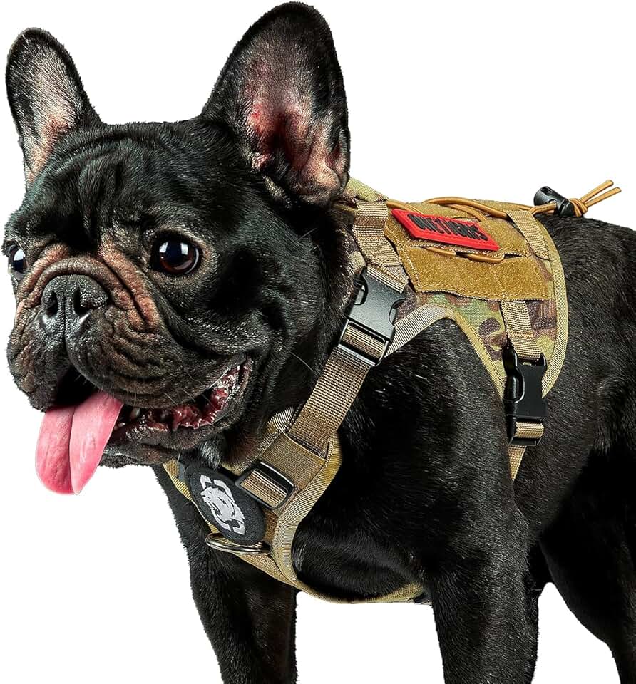 Adjustable Tactical Dog Harness for Walking and Training