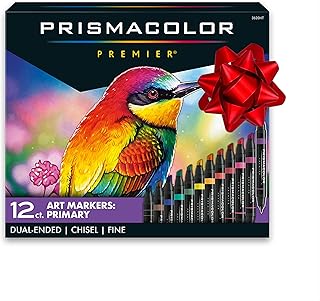 12 Dual-Ended Art Markers with Chisel and Fine Tips