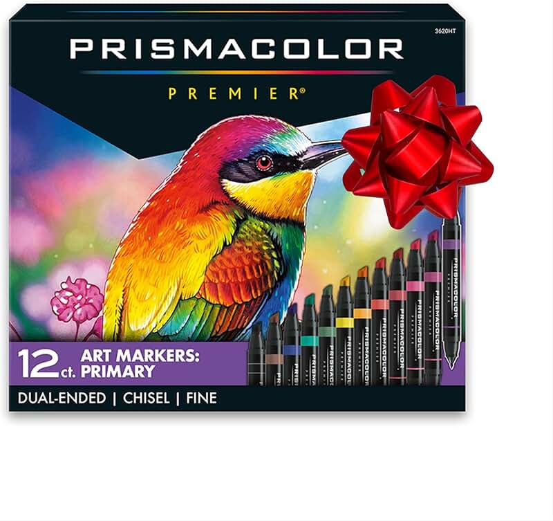 12 Dual-Ended Art Markers with Chisel and Fine Tips