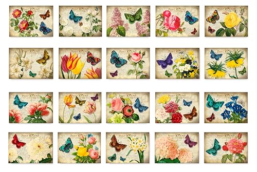 Set of 20 vintage-style floral postcards