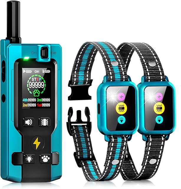 Dog Training Collar for Two Dogs with Remote and Screen