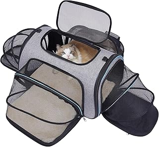 Expandable Soft Pet Carrier for Small Animals