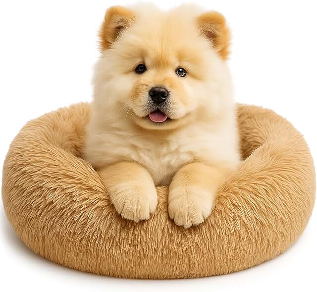 Soft, Cozy Donut Bed for Dogs and Cats