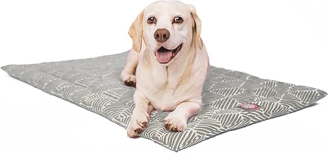 48-inch Charlie Metallic Dog Bed Mat