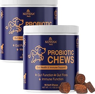 Probiotic Chews for Dogs for Gut and Skin Health