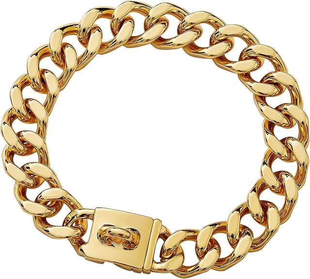Heavy Duty 21MM Stainless Steel Dog Chain Collar