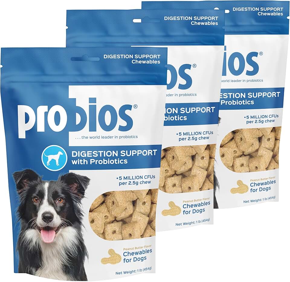 Digestive Support Chewables for Dogs, 3 Pack