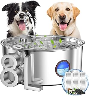 Large Dog Water Fountain with 8L Capacity