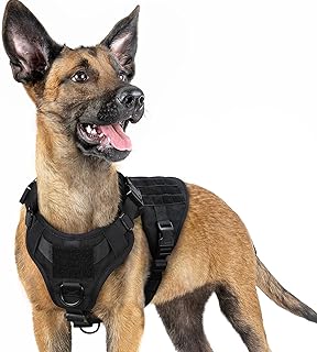 Heavy Duty Tactical Dog Harness for Small Breeds