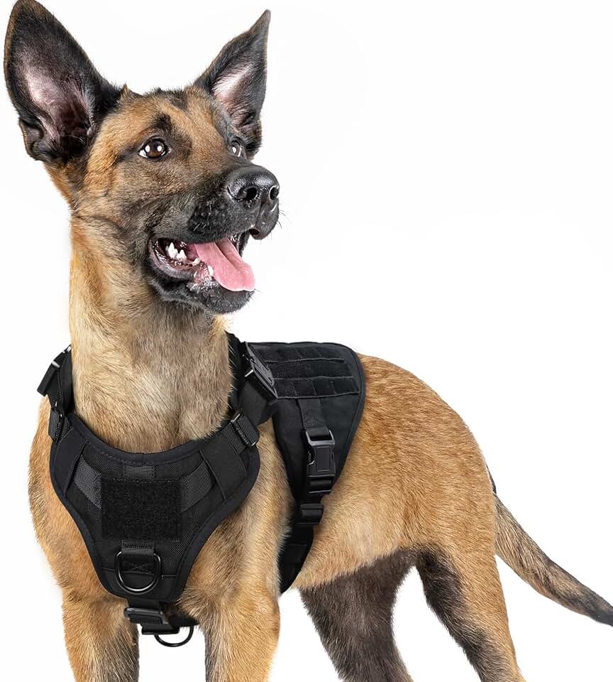 Heavy Duty Tactical Dog Harness for Small Breeds