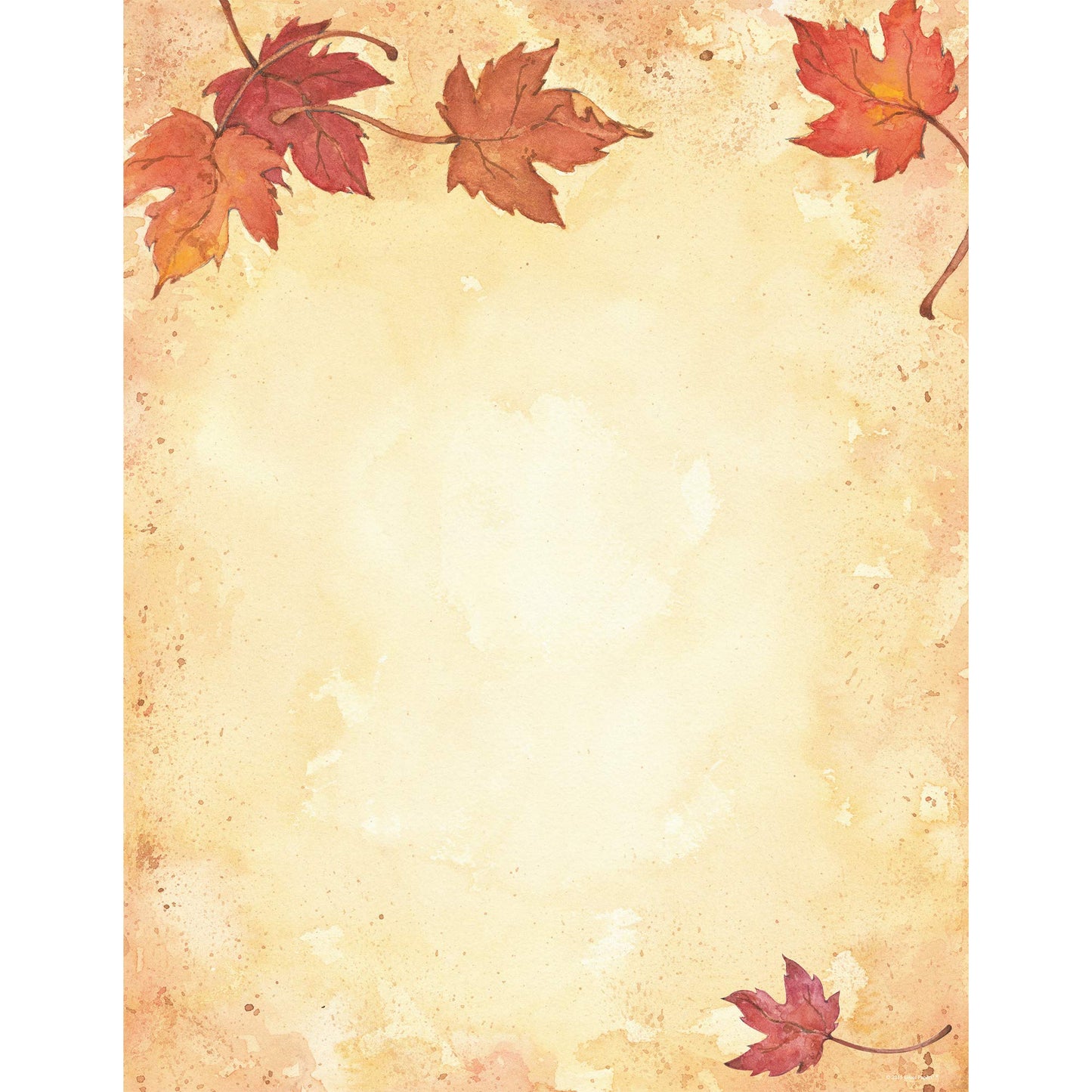 Fall Leaves Letterhead, 80 Sheets, 8.5" x 11"