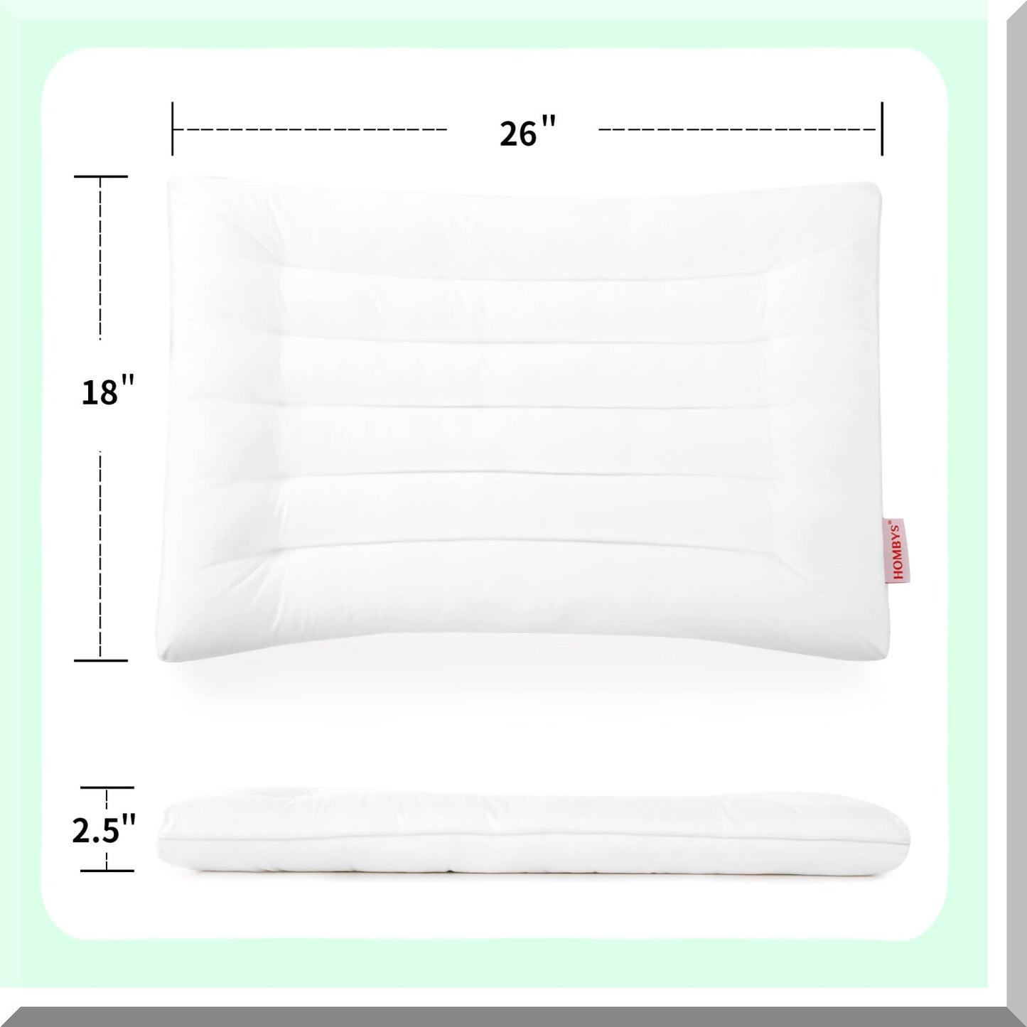 SlimDream Stomach Sleeper Pillow - 2.5 Inch Thin Flat Pillow for Back Sleepers - Low Profile Bed Pillow for Sleeping - Machine Washable - 18x26 Standard Size - White Color