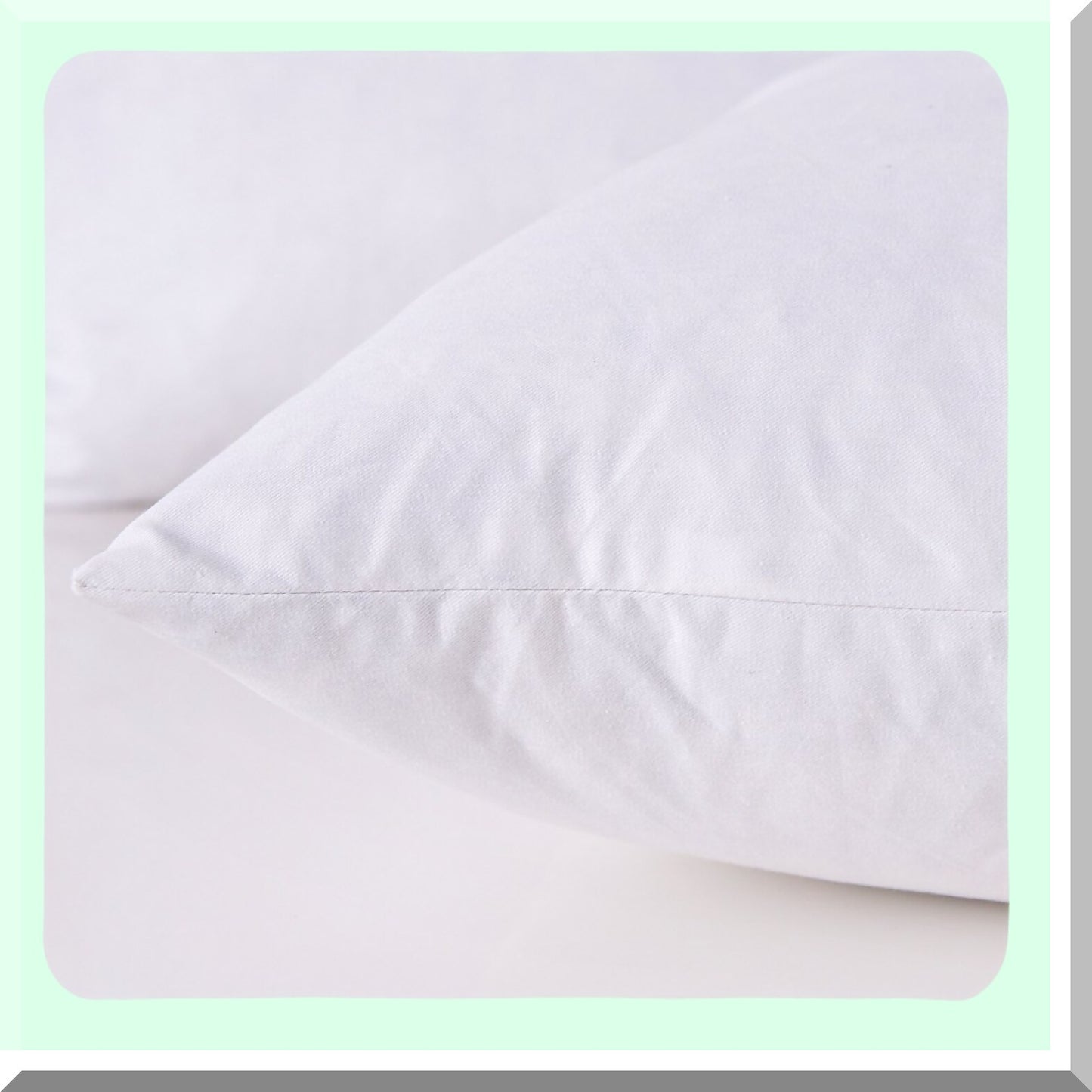 Luxury Down Throw Pillow Inserts - Set of 2 | Premium Cotton Cover | 18x18 Inches | Plush Bed Pillows | Decorative Couch Cushions | Fluffy Sofa Pillows