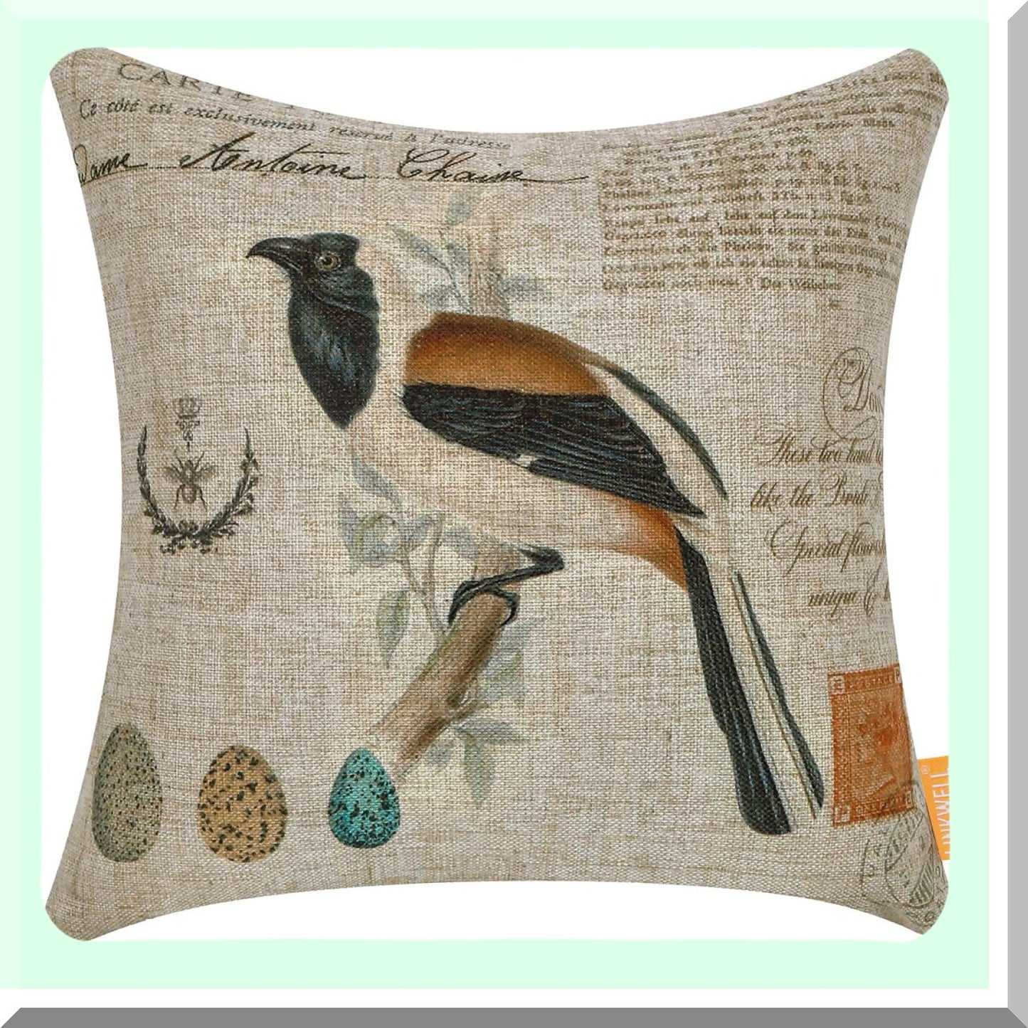 Birdsong Square Pillow Cover - 18x18 Inch Decorative Throw Case for Sofa & Bed, Egg Cushion Design, Home Decor Accent, CC1888