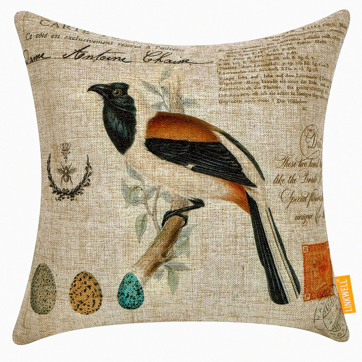 Birdsong Square Pillow Cover - 18x18 Inch Decorative Throw Case for Sofa & Bed, Egg Cushion Design, Home Decor Accent, CC1888