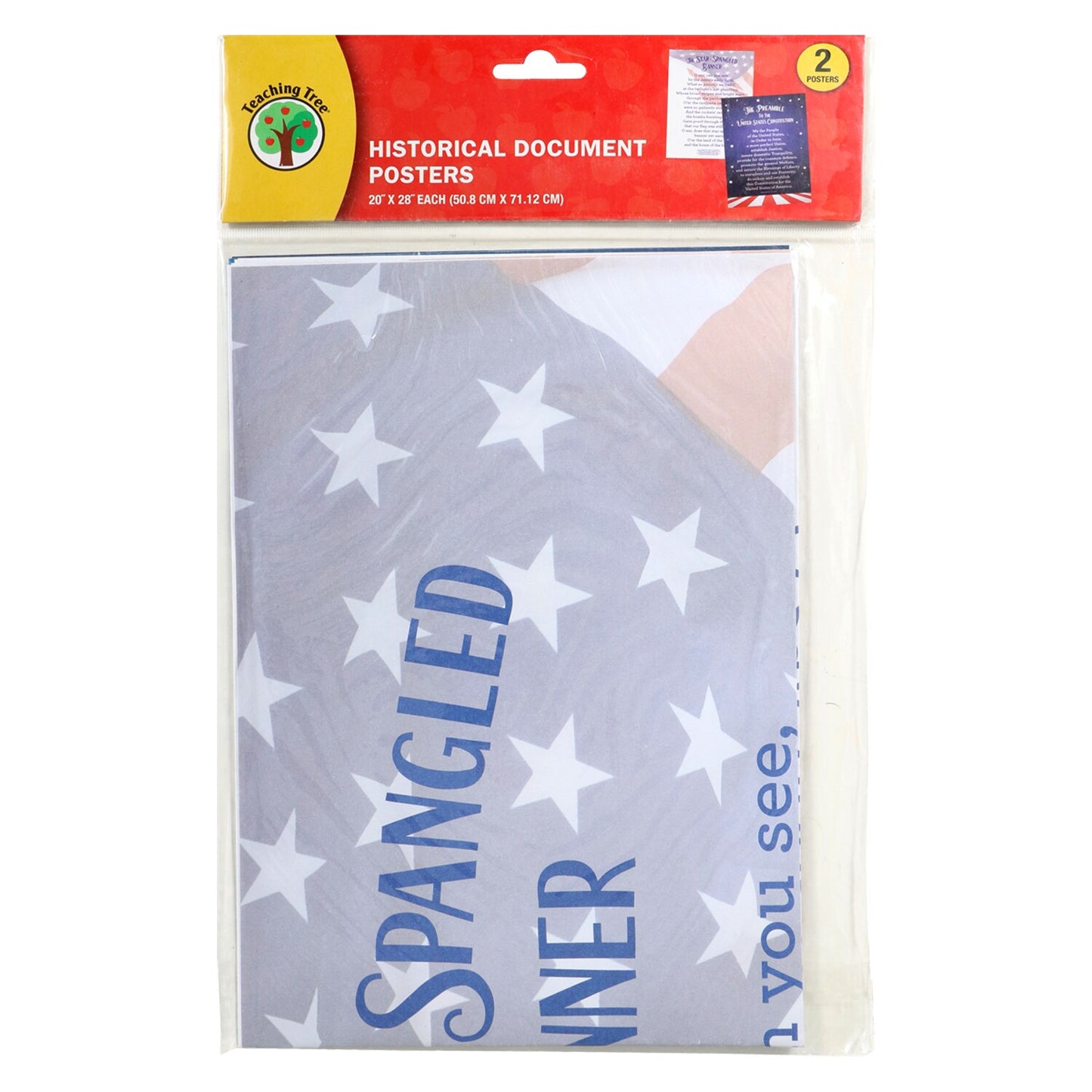 Teaching Tree Historical Document Posters, 28x20 in. (Pack of 36)