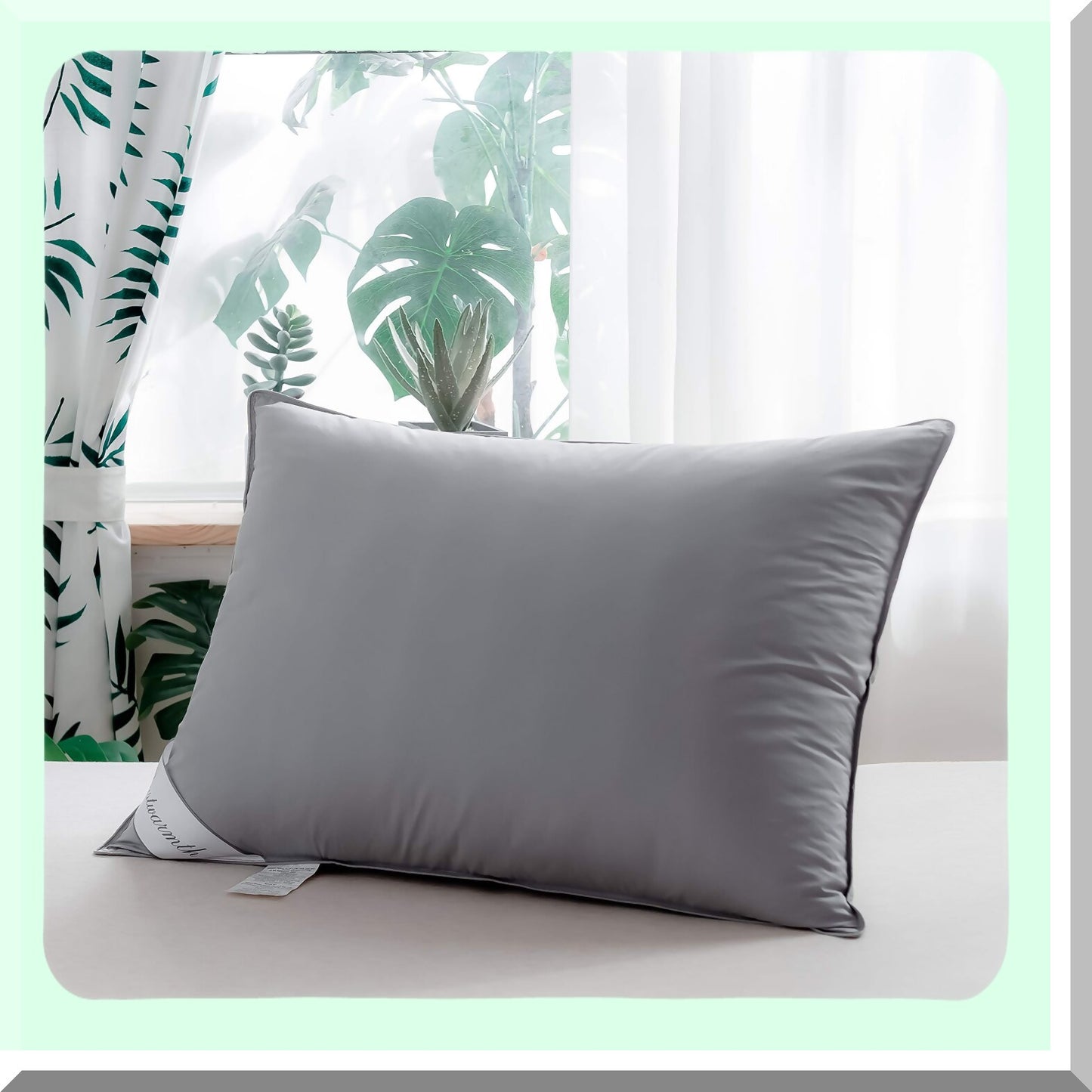 Luxury Grey Goose Down Hotel Pillows - Queen Size 100% Cotton Cover Set of 2, 20x30inch Plush Bedding Pair