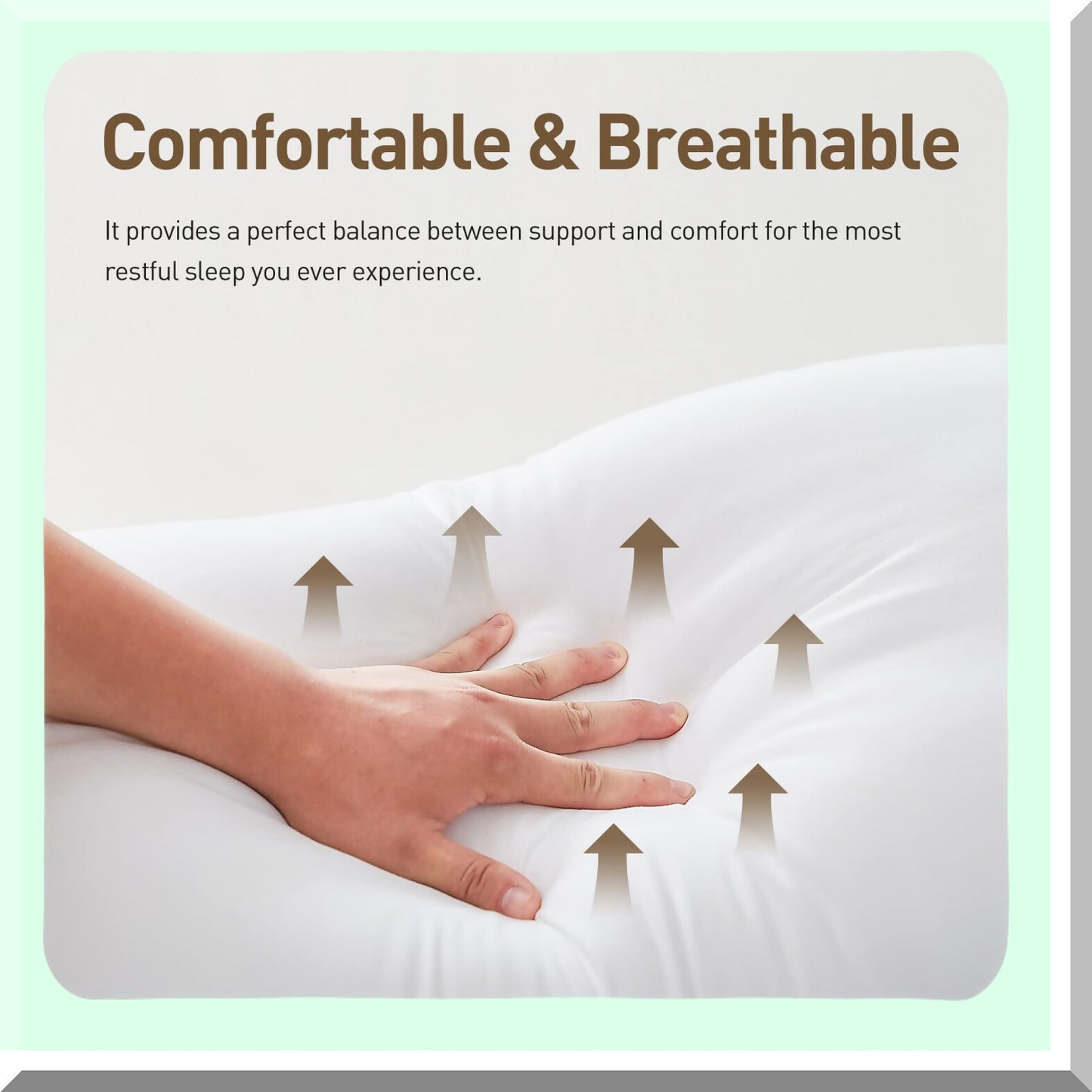 SleepEase Comfort Pillows - 2 Pack, Microfiber Polyester Filling, Neck Pain Relief, Breathable Cover, Standard Size, Black - 2 Count.